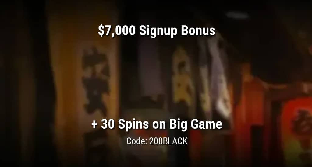 Black Lotus Casino – Modern and Reliable Gameplay